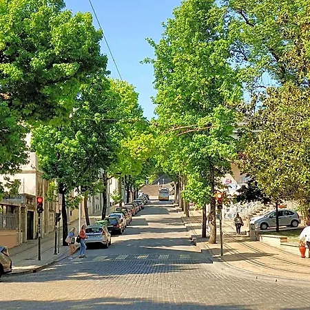 Monumentais 코임브라