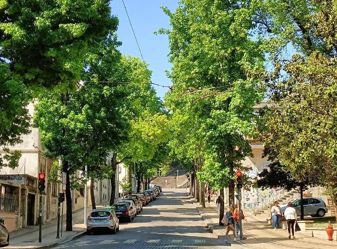 Monumentais Nocleg ze śniadaniem